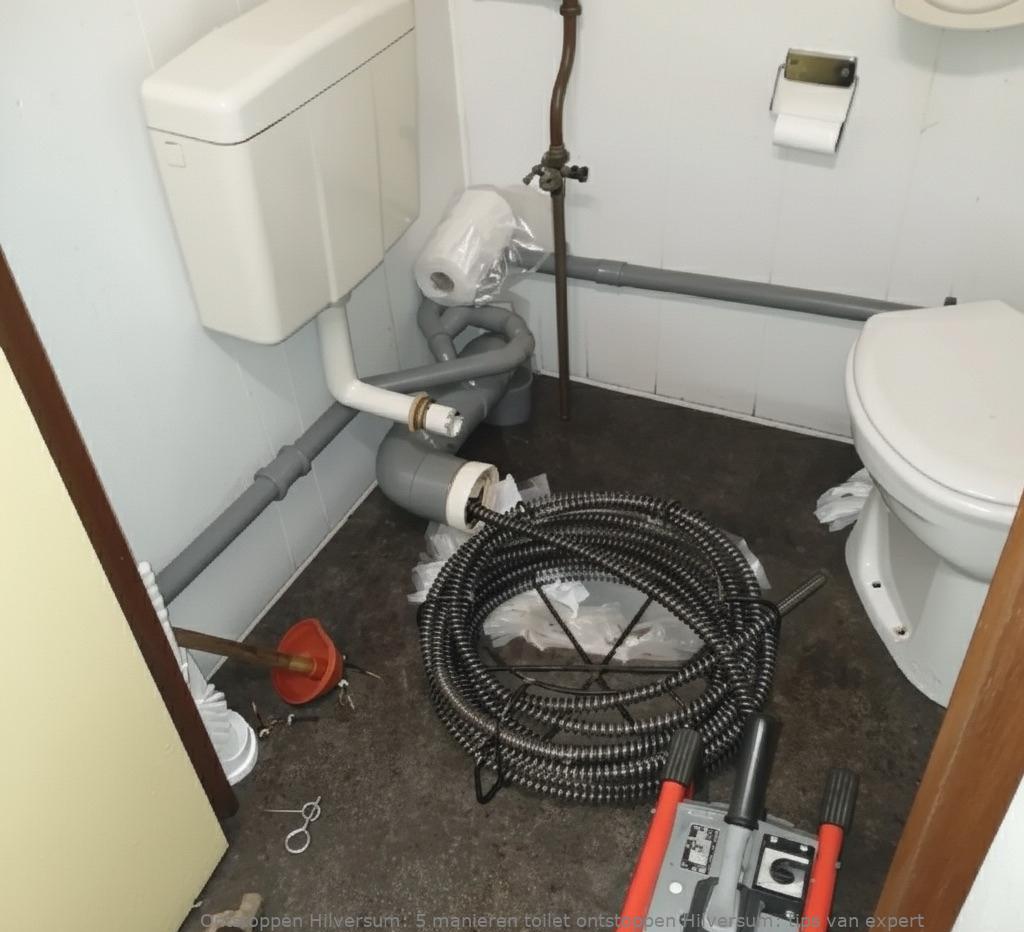 5 manieren toilet ontstoppen Hilversum: tips van expert