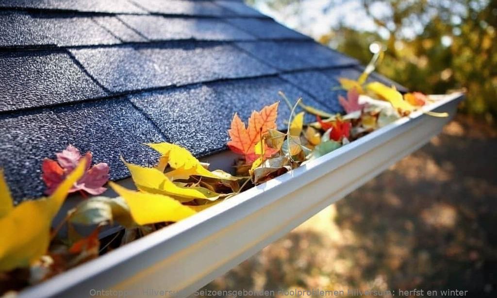 Seizoensgebonden rioolproblemen Hilversum: herfst en winter